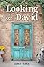 Looking for David: A Novel