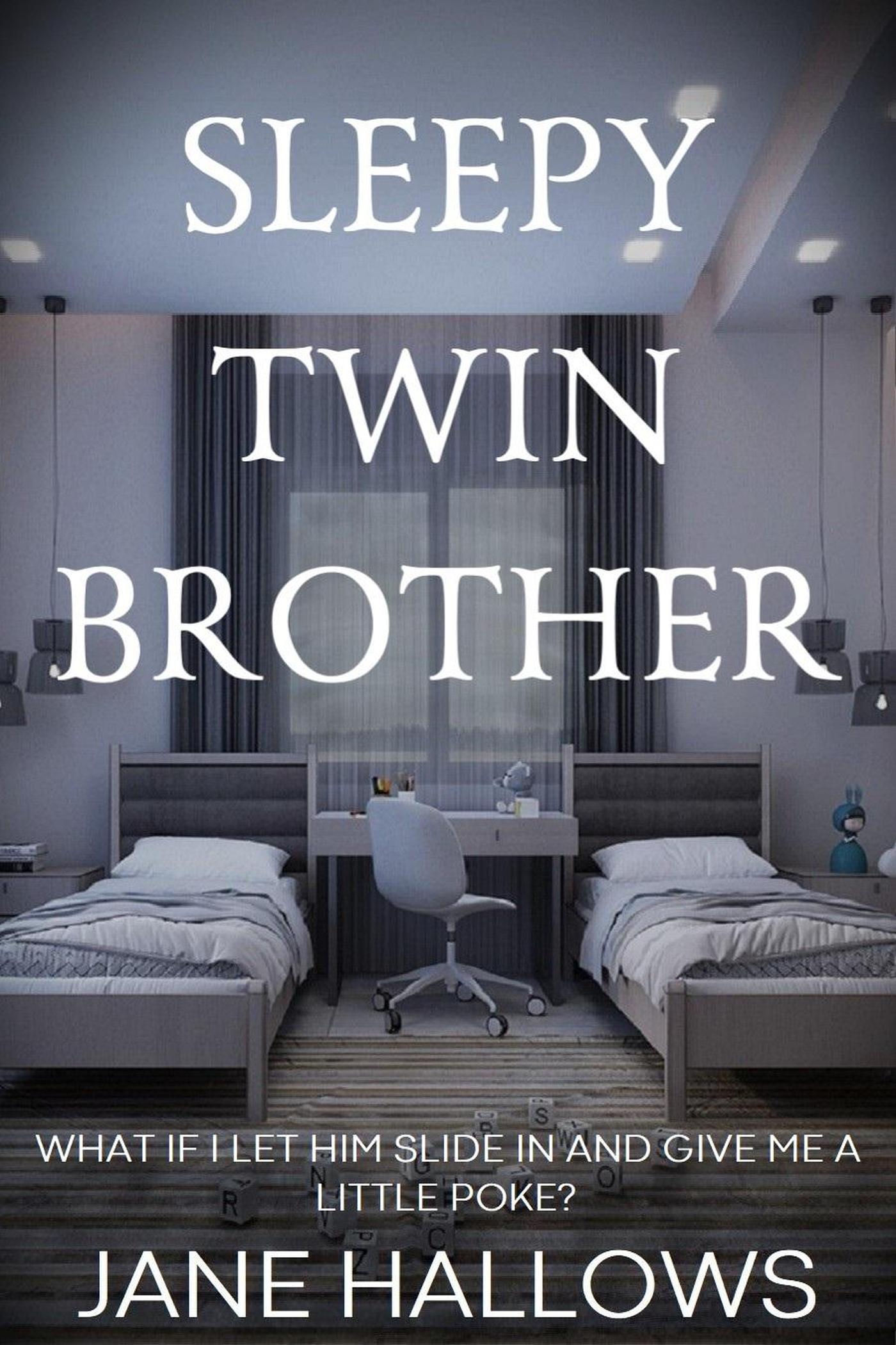 Sleepy Twin Brother (ebook)