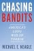 Chasing Bandits: America's Long War on Terror