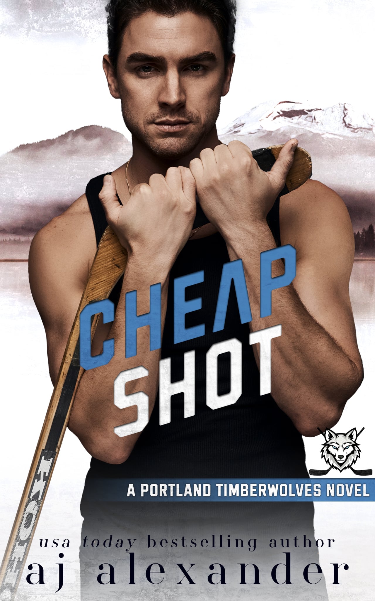 Cheap Shot (Portland Timberwolves, #2)