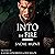 Into the Fire: A Dark New Adult Romance