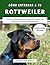 Cómo Entrenar A Tu Rottweil...