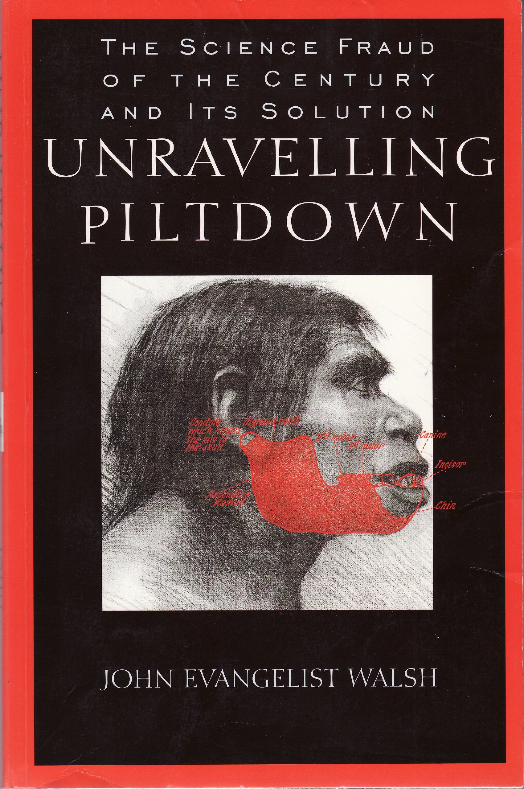 Unraveling Piltdown: The Science Fraud of the Century and Its Solution (Hardcover)