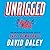 Unrigged Lib/E: How America...