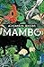 Mambo by Alejandra Moffat