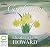 Confusion by Elizabeth Jane Howard