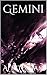 Gemini (Thirtyacre Book 2)