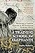 A Training School for Elephants by Sophy Roberts