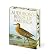 Audubon's Birds of America (Arcturus Epic Classics)