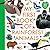 My First Book of Rainforest...