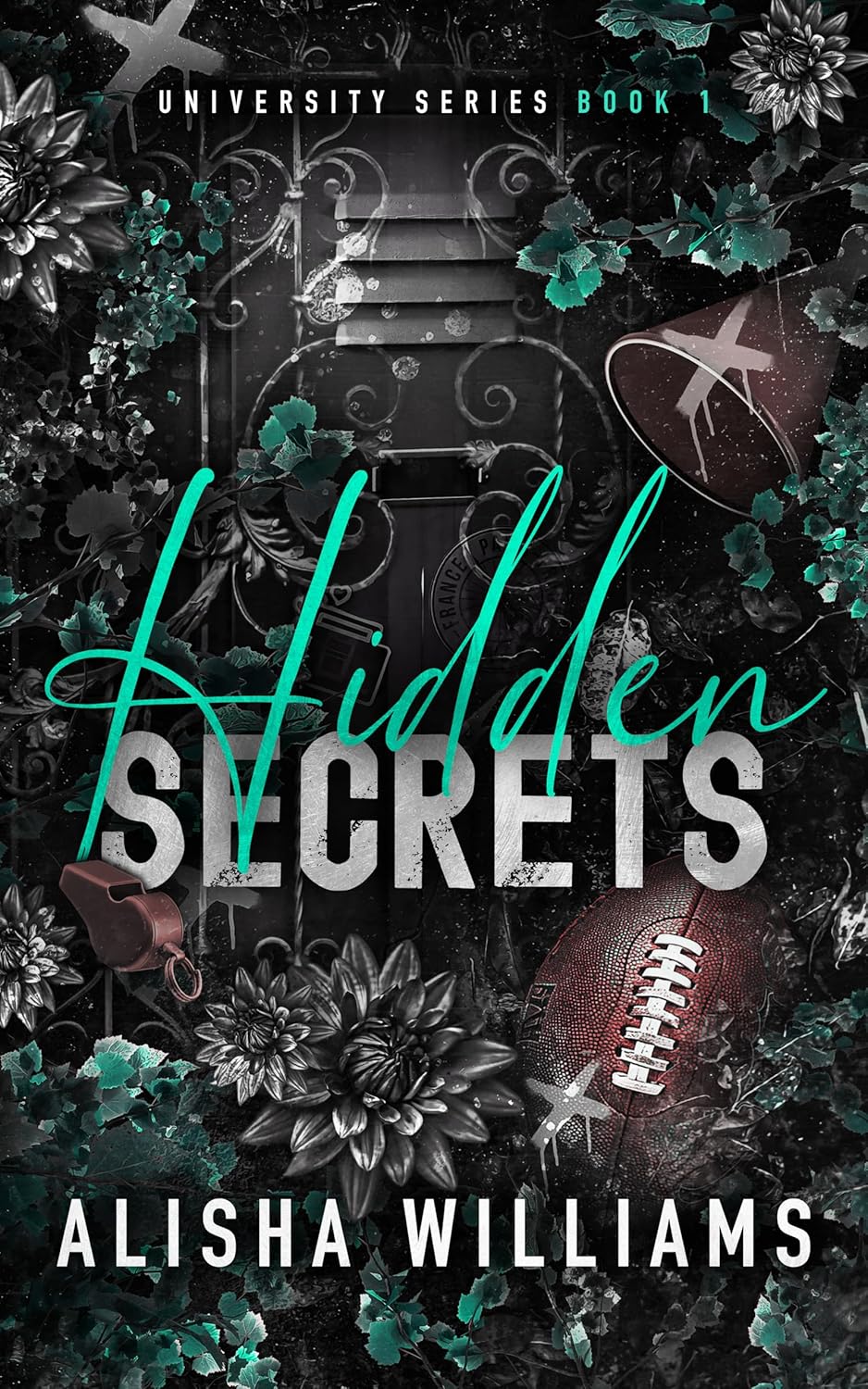 Hidden Secrets (Silver Valley University #1)