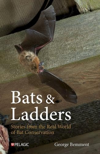 Bats & Ladders: Stories from the Real World of Bat Conservation (Bat Biology and Conservation)
