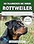 So Trainieren Sie Ihren Rottweiler by Winston Holt