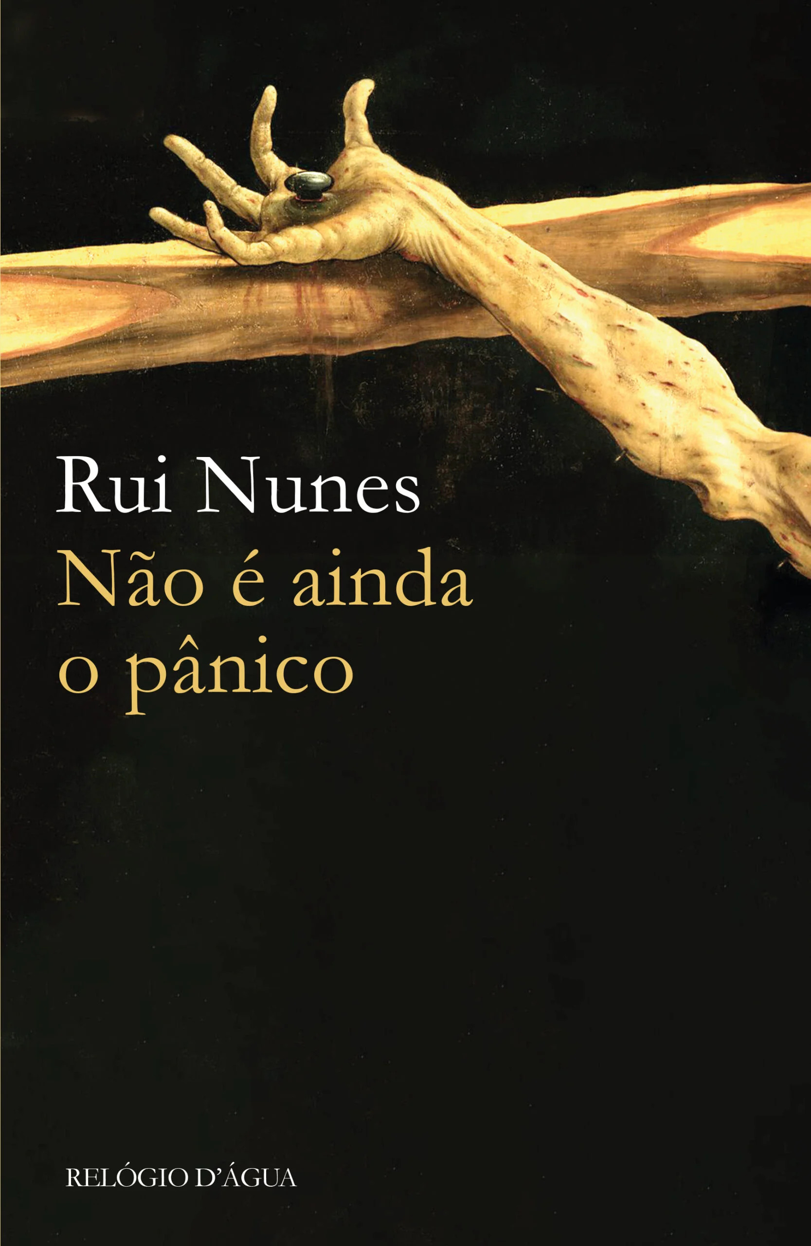 Não é ainda o pânico (Paperback)