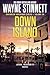 Down Island by Wayne Stinnett Down Island by Wayne Stinnett
