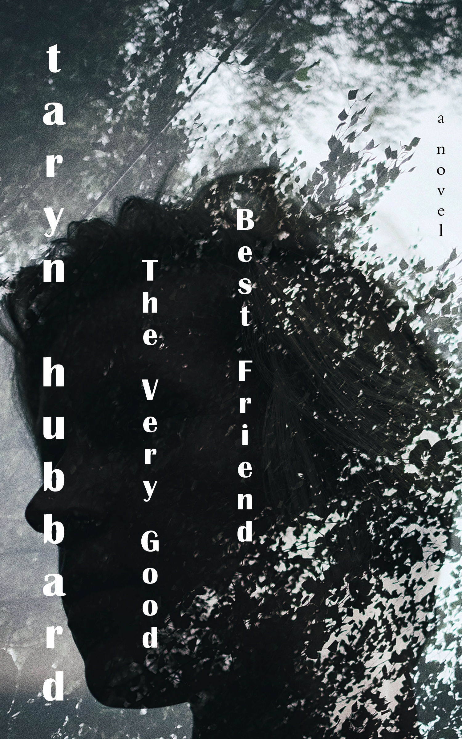 The Very Good Best Friend (ebook)