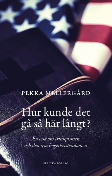 Hur kunde det gå så här långt? (Paperback)