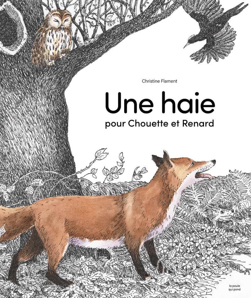 Une haie pour Chouette et Renard (Hardcover)