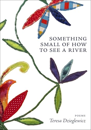 Something Small of How to See a River (Paperback)