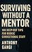 Surviving Without A Mentor ...