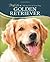 Golden Retriever (Doglife) ...