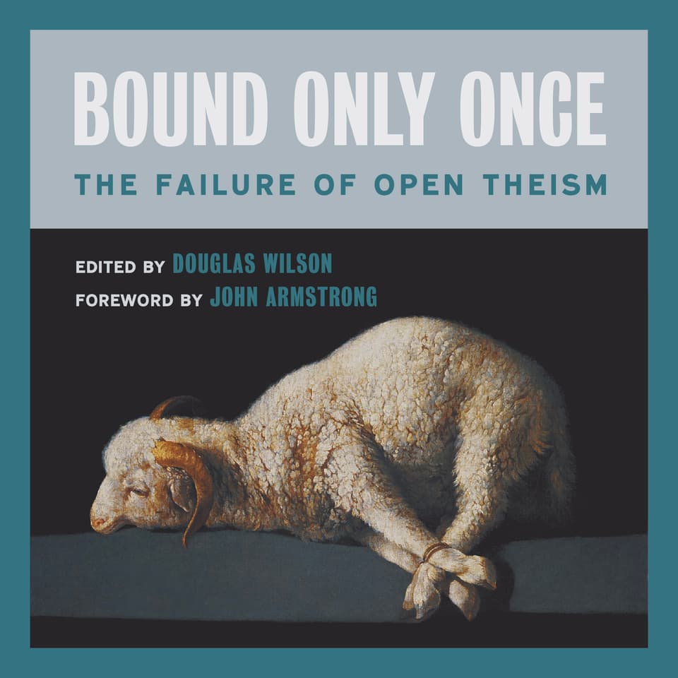 Bound Only Once: The Failure of Open Theism