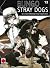 Bungo Stray Dogs, Vol. 13