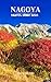 Nagoya Travel Guide 2025: E...