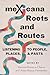 meXicana Roots and Routes: ...