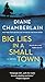Big Lies in a Small Town by Diane Chamberlain