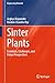 Sinter Plants: Evolution, C...