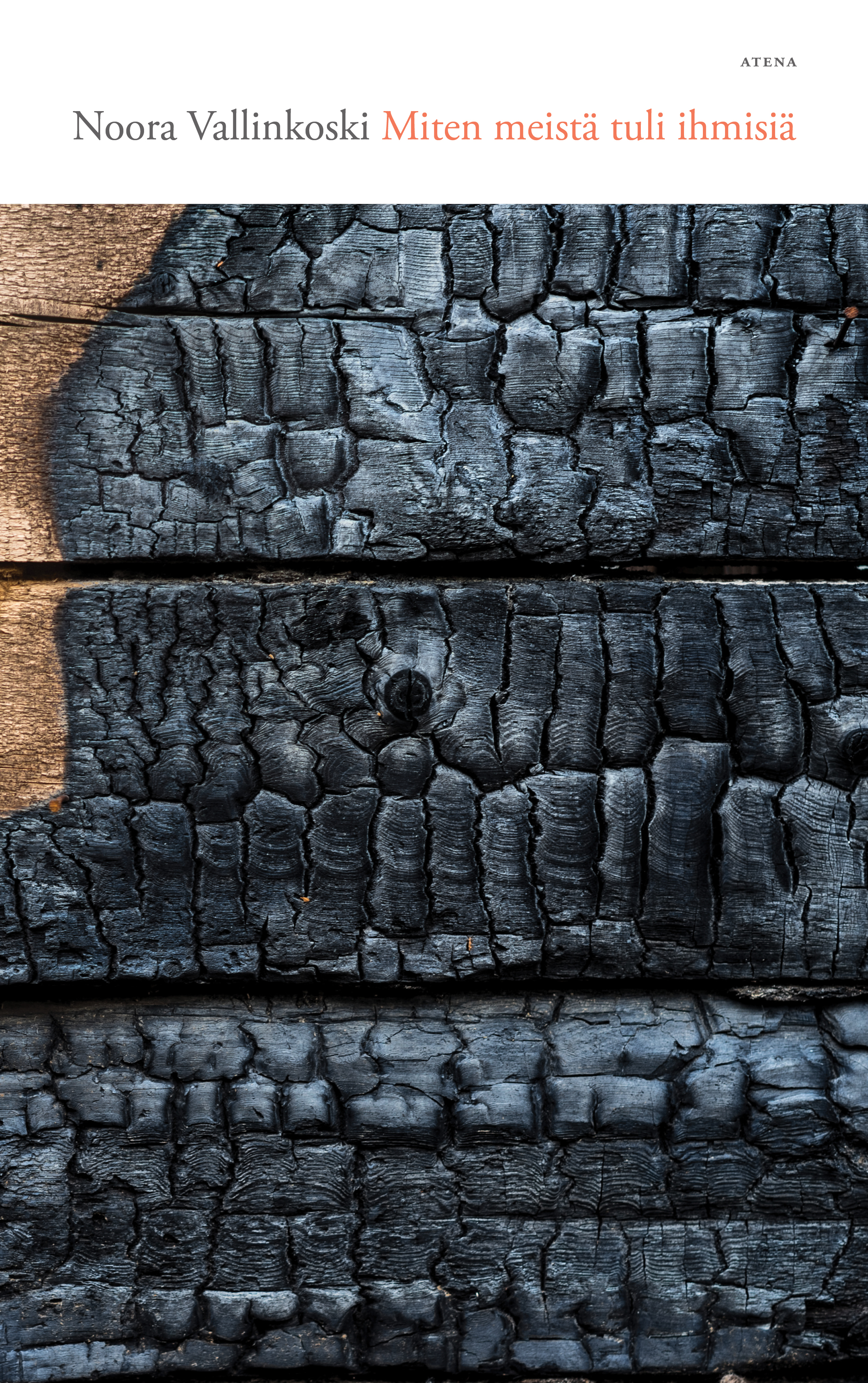 Miten meistä tuli ihmisiä