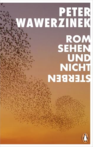 Rom sehen und nicht sterben (Kindle Edition)