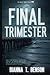 Final Trimester (Quigley Triplets Series)