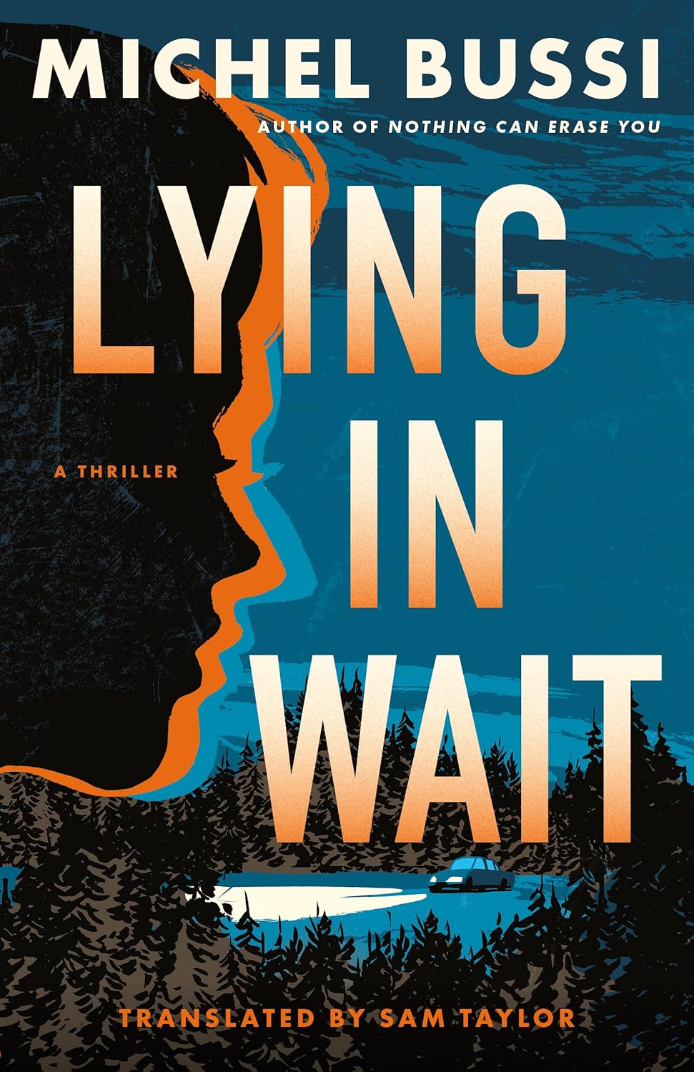 Lying in Wait (Kindle Edition)