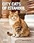 City Cats of Istanbul by Marcel Heijnen