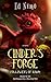 Cinder's Forge: Followers o...