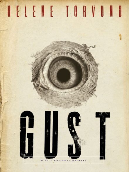 Gust (Paperback)