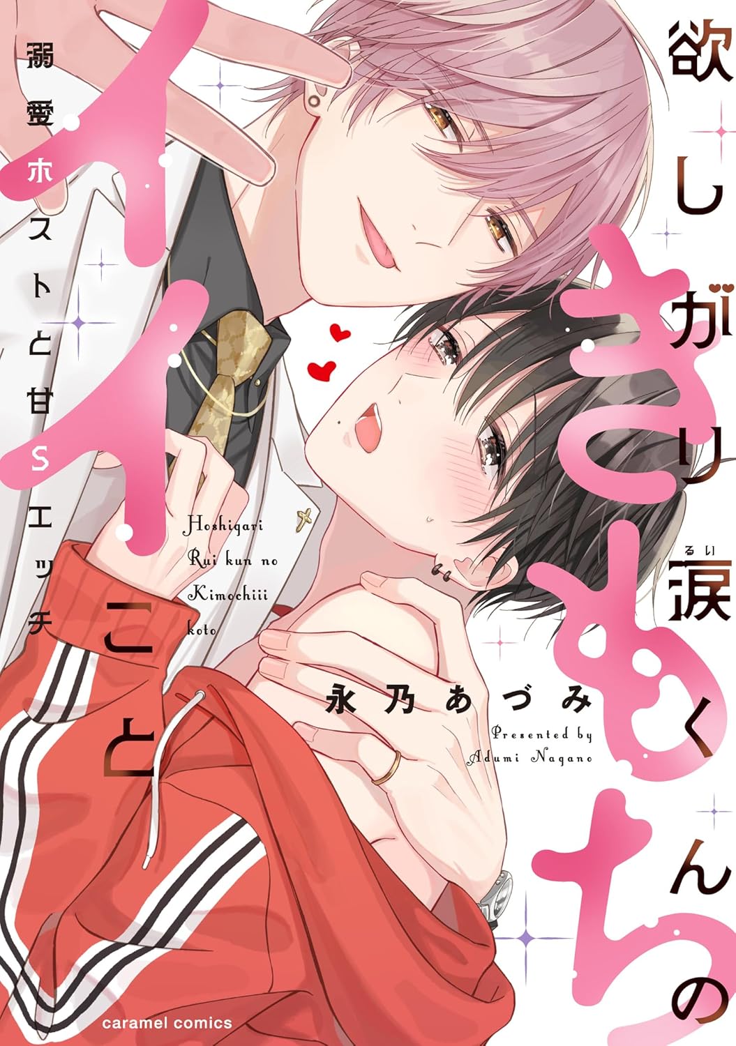 欲しがり涙（るい）くんのきもちイイこと～溺愛ホストと甘Sエッチ (Paperback)