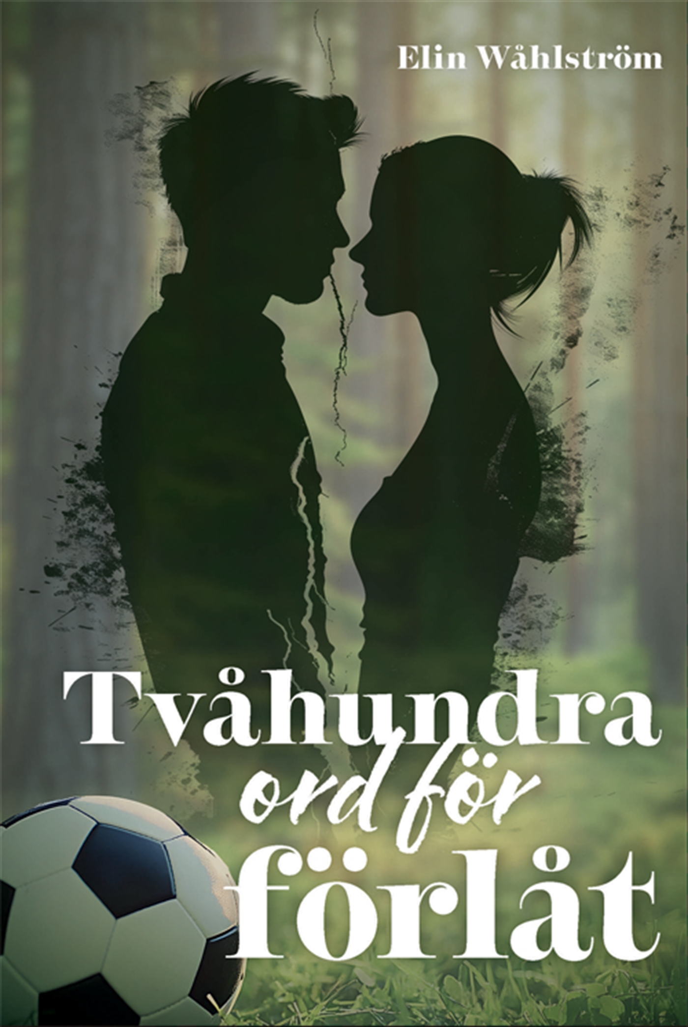 Tvåhundra ord för förlåt (Hardcover)