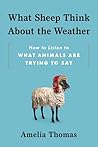 What Sheep Think ...