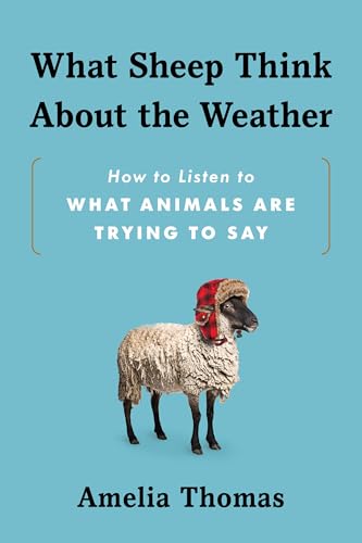 What Sheep Think About the Weather: How to Listen to What Animals Are Trying to Say (Paperback)