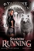 Shadow Running: An Urban Fantasy Adventure