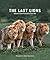 The Last Lions by Don Pinnock