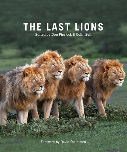 The Last Lions (Paperback)