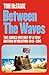 Between the Waves: ‘A rich and incisive new history of British Euroscepticism’ The Economist