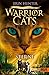 Sterne (Warrior Cats: Ein sternenloser Clan, #6)