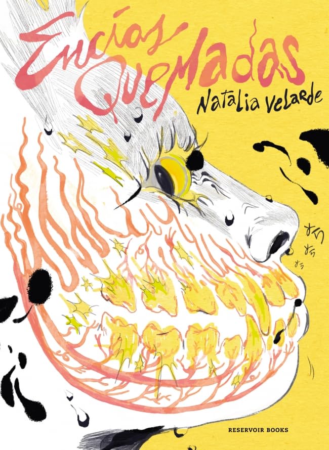 Encías quemadas / Burnt Gums (Spanish Edition)