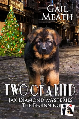 Two of a Kind: The Beginning (Jax Diamond Mysteries #4)