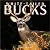 White-Tailed Bucks 2004 Cal...